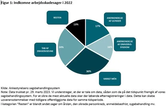 Indkomne arbejdsskadesager i 2022 fordelt på 24 % på tab af erhvervsevne, 30 % på varigt mén, 16 % på anerkendelse af erhvervssygdomme, 17 % på anerkendelse af ulykker og 13 % på resten.