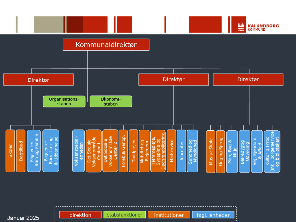 organisationsdiagram