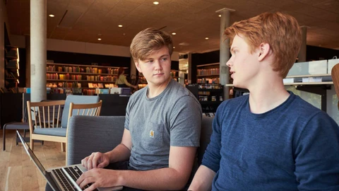 Ungenetværket