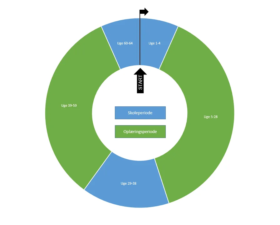 Billedet viser et grafisk overblik over SSH-uddannelsens opbygning. Skoleperiode 1 er i uge 1-4. Oplæringsperiode 1 ligger i uge 5-28. Skoleperiode 2 ligger i uge 29-38. Oplæringsperiode 2 ligger i uge 39-59. Skoleperiode 3 ligger i uge 60-64.